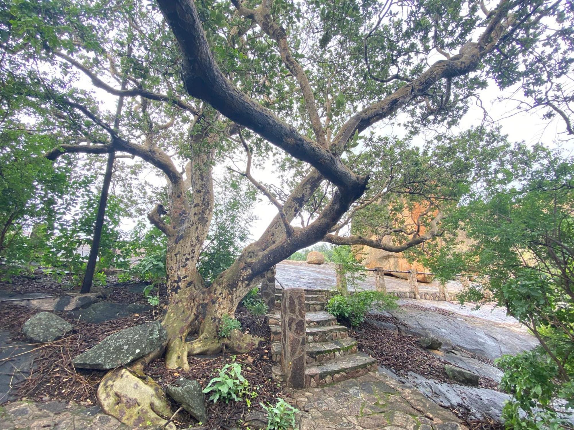 Matopos Big Cave Camp 빌라 외부 사진